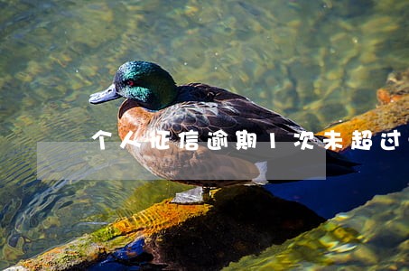 个人征信逾期1次未超过90天 个人征信逾期1次未超过90天