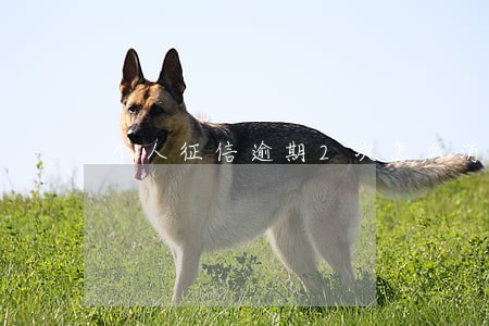 个人征信逾期2次怎么消除 个人征信逾期2次怎么消除