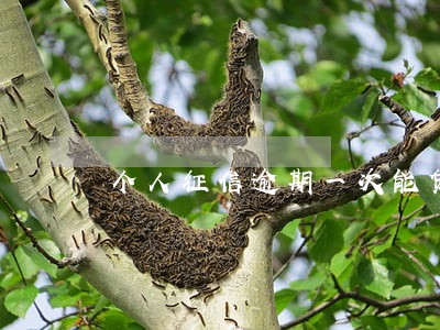 个人征信逾期一次能贷款吗 个人征信逾期一次能贷款吗