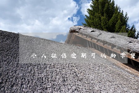 个人征信逾期可以助学贷款吗 个人征信逾期可以助学贷款吗
