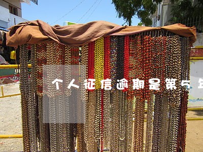 个人征信逾期是第5年消除吗 个人征信逾期是第5年消除吗