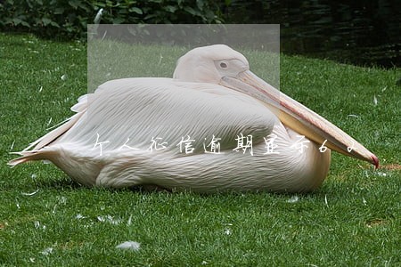个人征信逾期显示62 个人征信逾期显示62