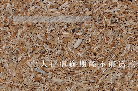 个人征信逾期能不能贷款买房 个人征信逾期能不能贷款买房