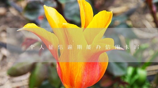 个人征信逾期能办信用卡吗 个人征信逾期能办信用卡吗