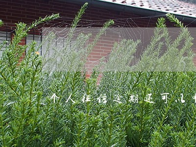 个人征信逾期还可以申请信用卡吗 个人征信逾期还可以申请信用卡吗