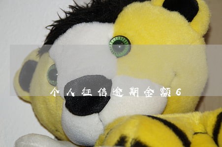 个人征信逾期金额6 个人征信逾期金额6