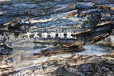 个人律师排名 个人律师排名