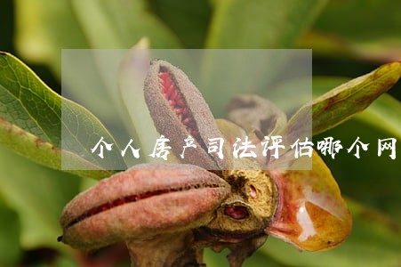个人房产司法评估哪个网站好