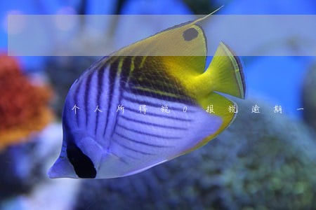个人所得税0报税逾期一天 个人所得税0报税逾期一天