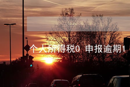 个人所得税0申报逾期180 个人所得税0申报逾期180