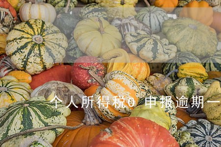 个人所得税0申报逾期一天 个人所得税0申报逾期一天