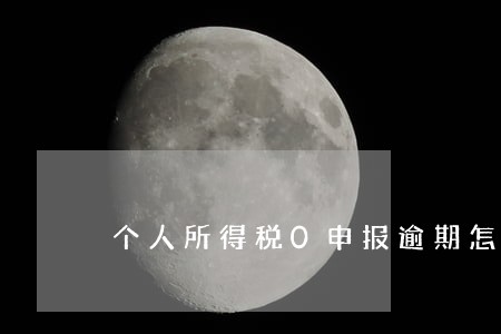 个人所得税0申报逾期怎么填表 个人所得税0申报逾期怎么填表