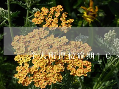 个人所得税逾期10天申报 个人所得税逾期10天申报