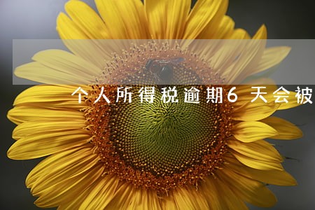 个人所得税逾期6天会被罚款 个人所得税逾期6天会被罚款