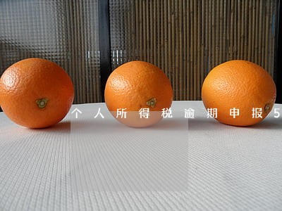 个人所得税逾期申报55天 个人所得税逾期申报55天