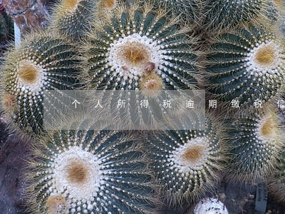 个人所得税逾期缴税信用 个人所得税逾期缴税信用