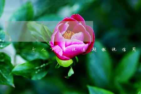 个人所得税逾期缴税信用影响 个人所得税逾期缴税信用影响