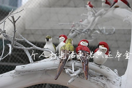 个人打电话承诺只还本金能信吗 个人打电话承诺只还本金能信吗
