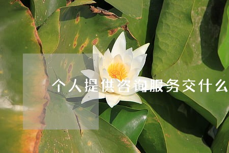 个人提供咨询服务交什么税 个人提供咨询服务交什么税