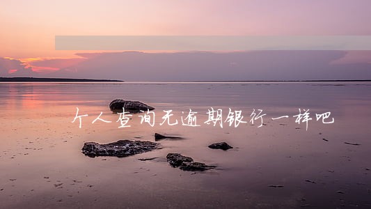 个人查询无逾期银行一样吧 个人查询无逾期银行一样吧