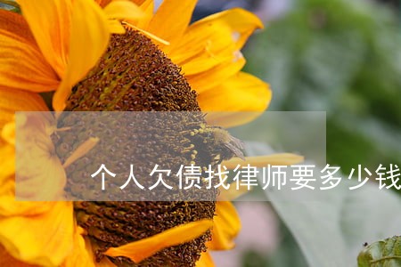 个人欠债找律师要多少钱 个人欠债找律师要多少钱