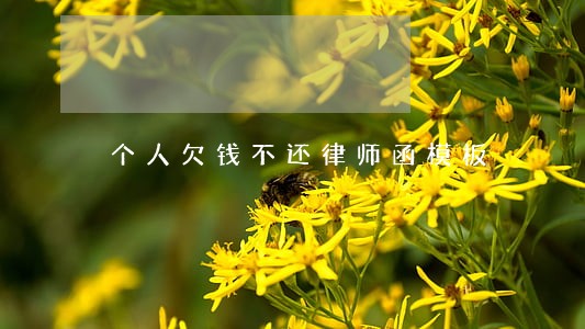 个人欠钱不还律师函模板 个人欠钱不还律师函模板