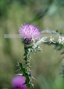 个人欠银行是逾期企业欠个人 个人欠银行是逾期企业欠个人