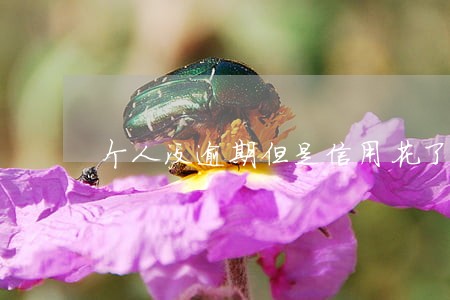 个人没逾期但是信用花了怎么办 个人没逾期但是信用花了怎么办