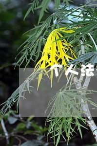 个人法律咨询1231 个人法律咨询1231