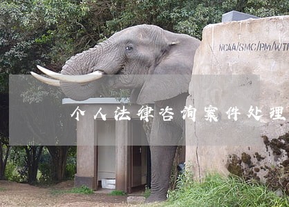个人法律咨询案件处理收费 个人法律咨询案件处理收费