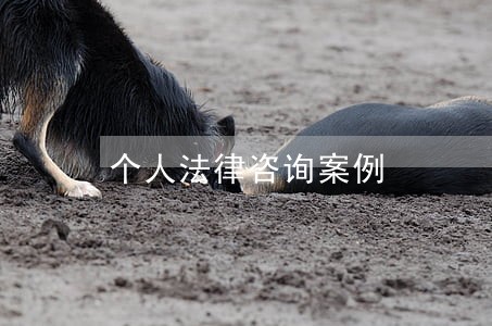 个人法律咨询案例 个人法律咨询案例