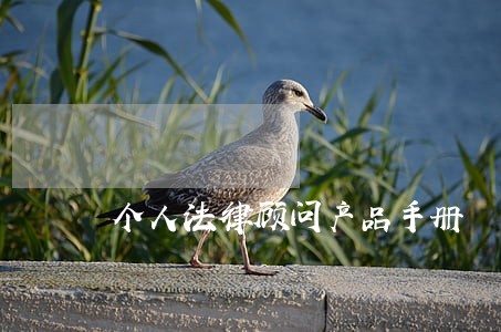 个人法律顾问产品手册 个人法律顾问产品手册