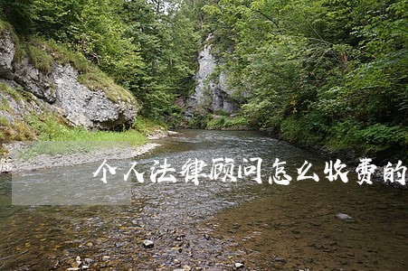 个人法律顾问怎么收费的 个人法律顾问怎么收费的