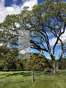 个人法律顾问怎样收费 个人法律顾问怎样收费