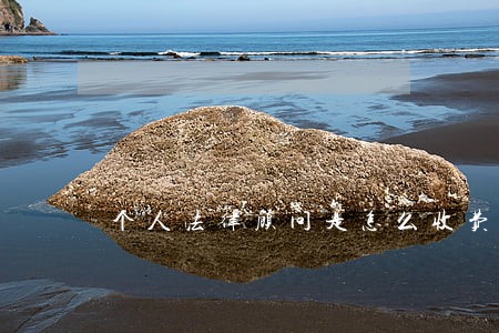 个人法律顾问是怎么收费 个人法律顾问是怎么收费
