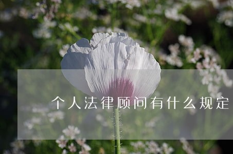 个人法律顾问有什么规定 个人法律顾问有什么规定