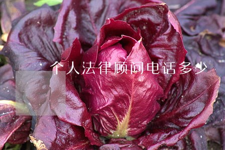 个人法律顾问电话多少 个人法律顾问电话多少