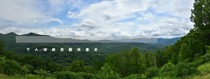 个人法院合解协意书