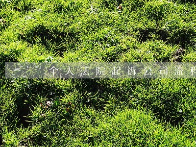 个人法院起诉公司流程及费用 个人法院起诉公司流程及费用