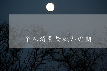 个人消费贷款无逾期 个人消费贷款无逾期