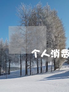 个人消费贷款超过180天逾期 个人消费贷款超过180天逾期