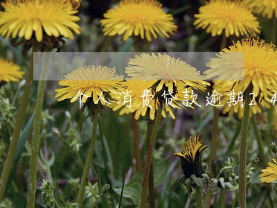 个人消费贷款逾期24次 个人消费贷款逾期24次