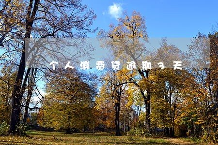 个人消费贷逾期3天 个人消费贷逾期3天