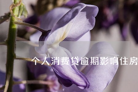 个人消费贷逾期影响住房贷款 个人消费贷逾期影响住房贷款