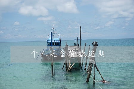 个人现金贷款逾期 个人现金贷款逾期
