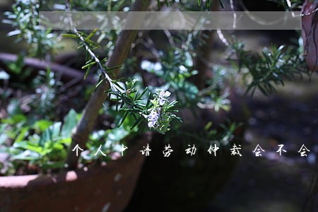 个人申请劳动仲裁会不会影响个人 个人申请劳动仲裁会不会影响个人