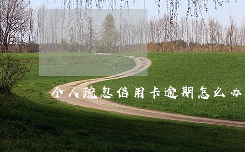 个人疏忽信用卡逾期怎么办 个人疏忽信用卡逾期怎么办
