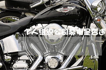 个人组织公司募捐是否违法 个人组织公司募捐是否违法
