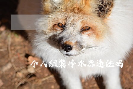 个人组装净水器违法吗 个人组装净水器违法吗