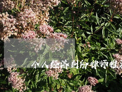 个人经济纠纷律师推荐 个人经济纠纷律师推荐